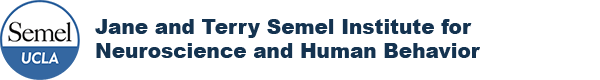 Semel Institute Logo