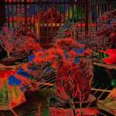 Photograph of oversaturated dark bonsai trees.