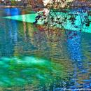 Evergreen tree colors of green and blue hues are reflected on the surface of the pond.  The pond has movement of the water. The shades of a tree branches have autumn colors of red and gold leaves... The nearby buildings create a large shadow on this serene pond.