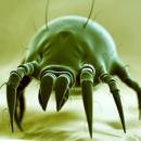 Image of a creature that looks like a crab with wires poking out.