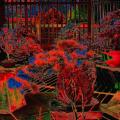 Photograph of oversaturated dark bonsai trees.