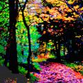 A color photograph depicting an autumn nature scene in Lithia Park, Oregon. The camera focuses on a tree lined path with colorful autumn leaves covering much of the path. 