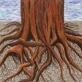 Paintings of tree roots. 